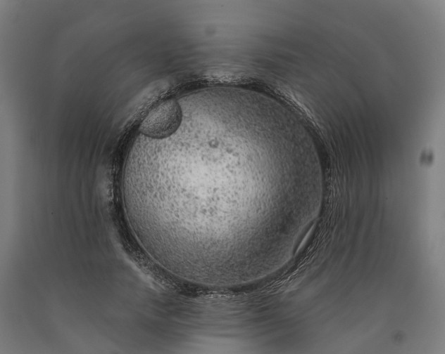 X0000090600738200707311201