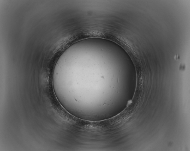 X0000090600739200707311201