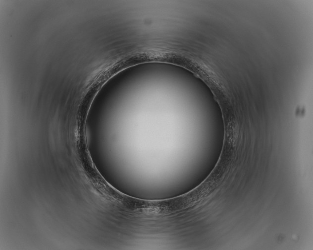 X0000090600740200707311201