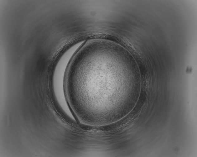 X0000090600742200707311201