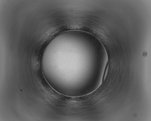 X0000090600743200707311201