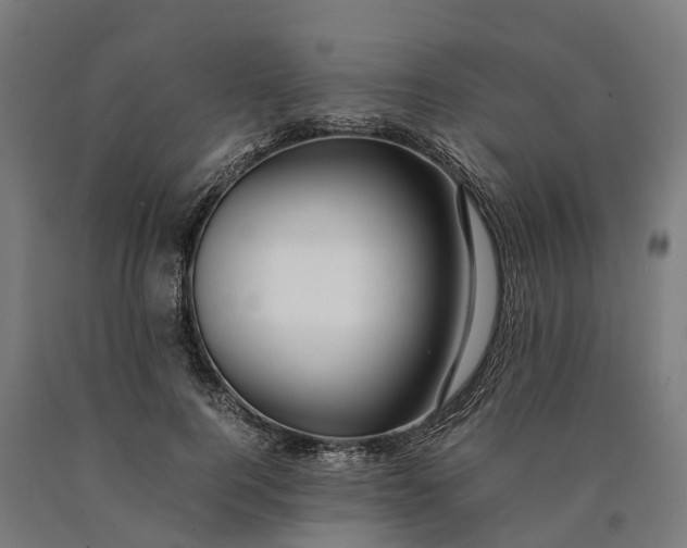 X0000090600744200707311201