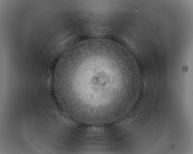 X0000090600745200707311201