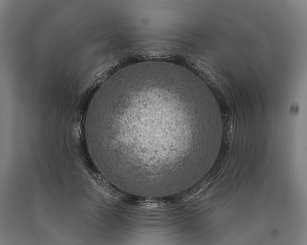 X0000090600746200707311201