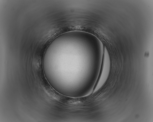 X0000090600747200707311201