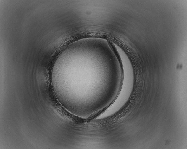 X0000090600748200707311201