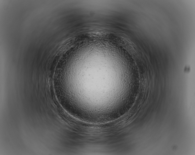 X0000090600749200707311201