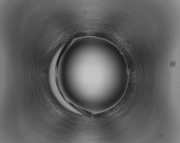 X0000090600750200707311201