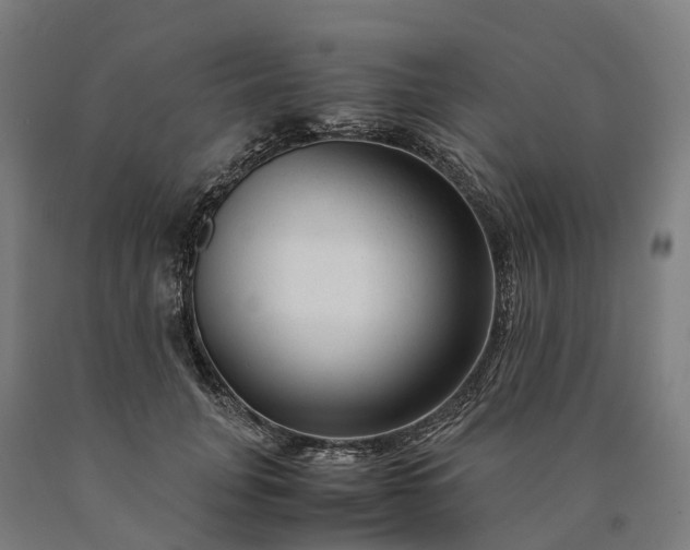 X0000090600751200707311201