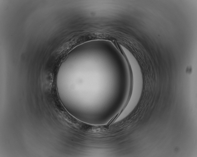 X0000090600752200707311201