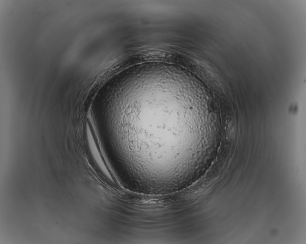 X0000090600753200707311201