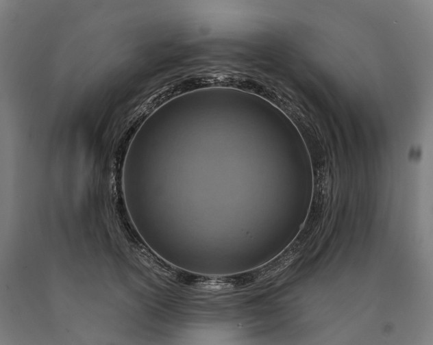 X0000090600754200707311201