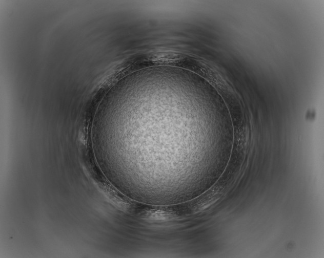 X0000090600755200707311201