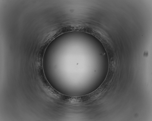 X0000090600756200707311201