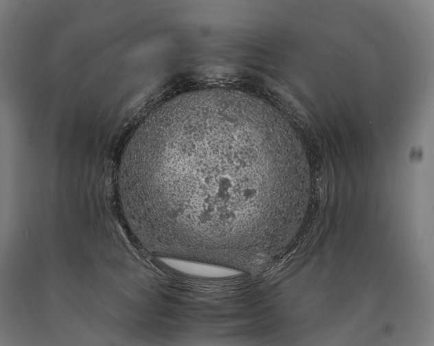 X0000090600757200707311201