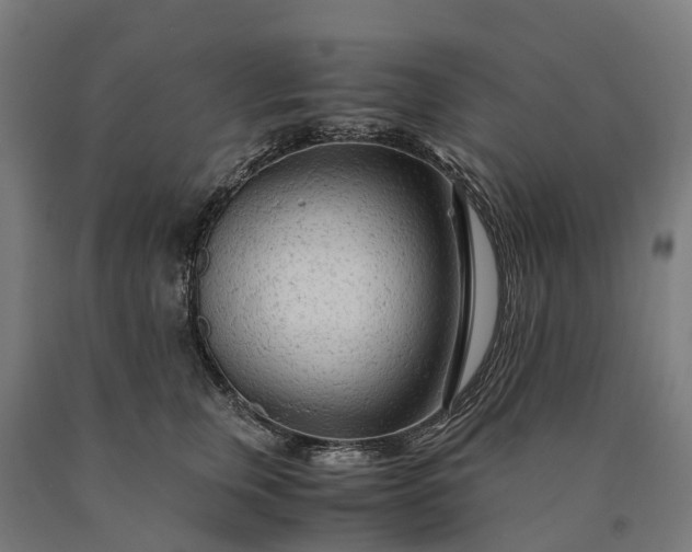 X0000090600759200707311201