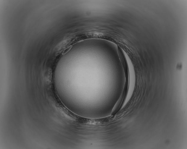 X0000090600760200707311201