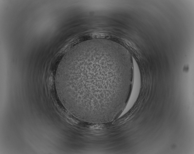 X0000090600761200707311201