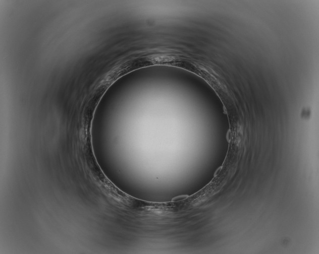 X0000090600763200707311201