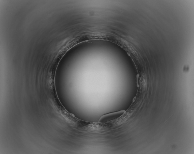 X0000090600764200707311201