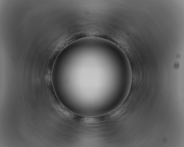 X0000090600766200707311201