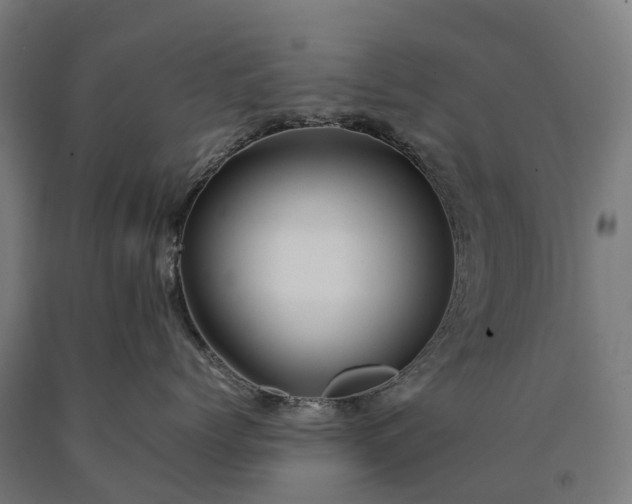 X0000090600768200707311201