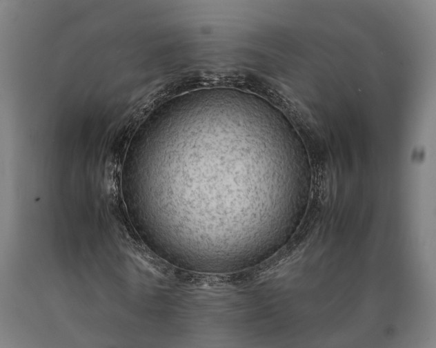 X0000090600770200707311201