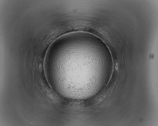 X0000090600771200707311201