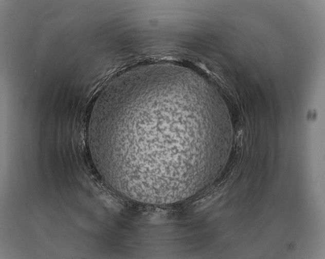 X0000090600772200707311201