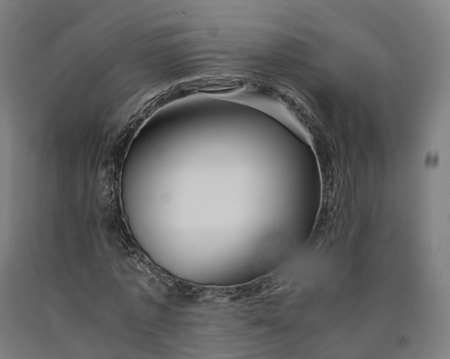 X0000090600773200707311201