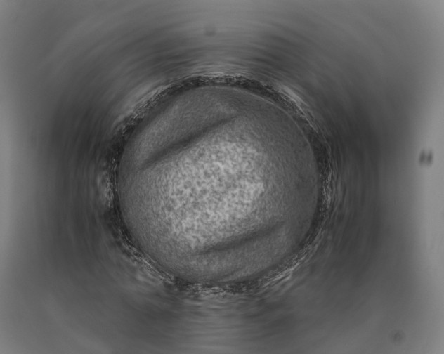 X0000090600774200707311201