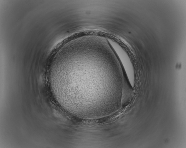 X0000090600775200707311201