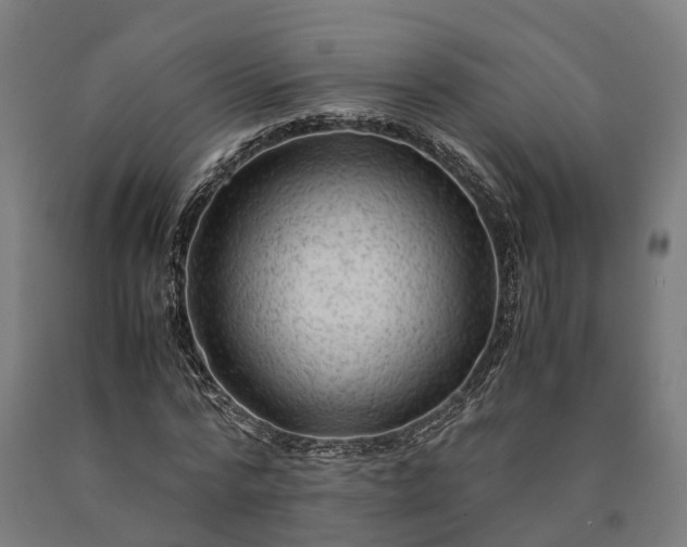 X0000090600776200707311201