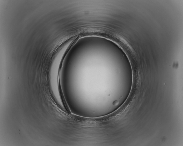 X0000090600777200707311201