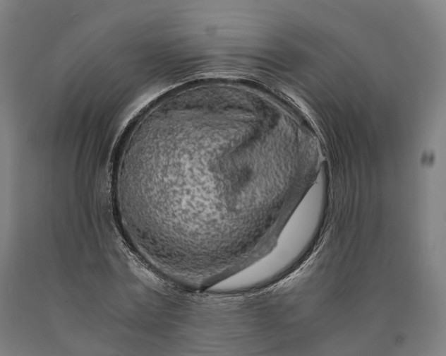 X0000090600779200707311201