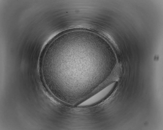 X0000090600780200707311201