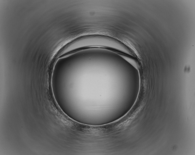 X0000090600781200707311201