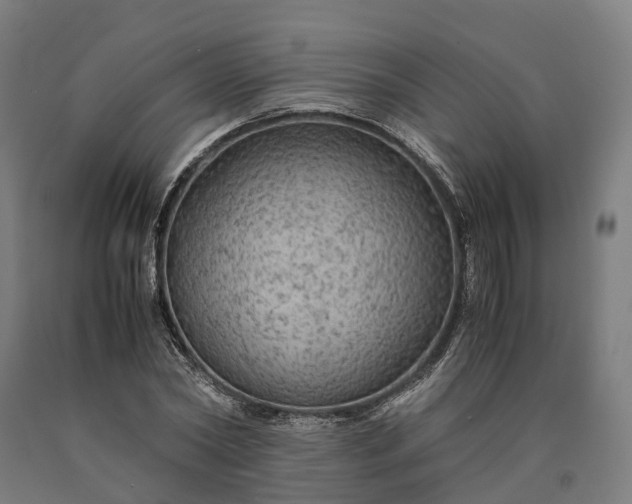 X0000090600782200707311201