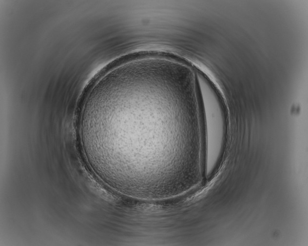 X0000090600783200707311201