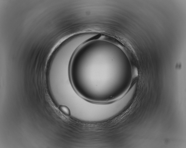 X0000090600784200707311200