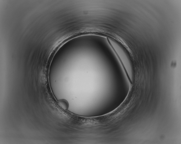 X0000090600786200707311200