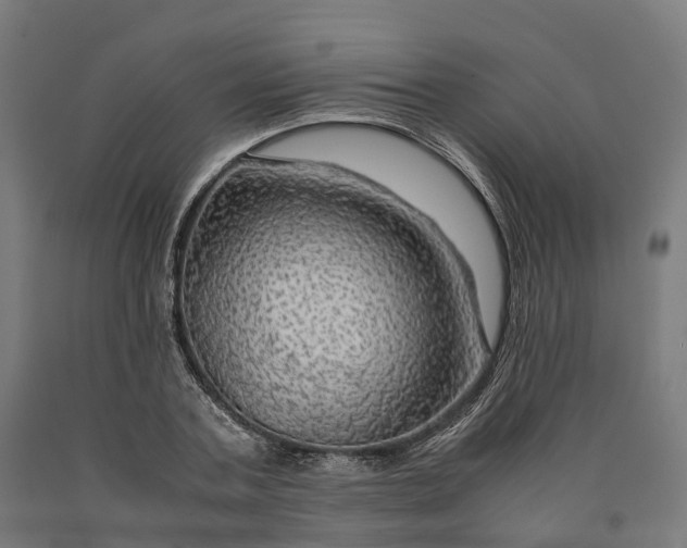 X0000090600787200707311200