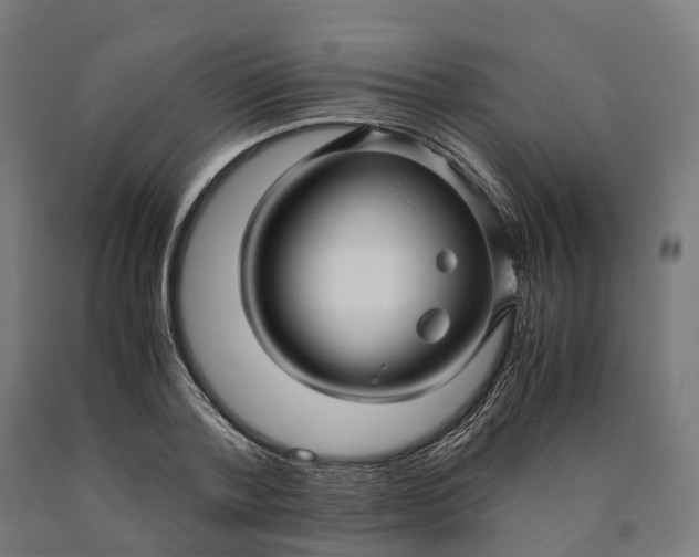 X0000090600788200707311200