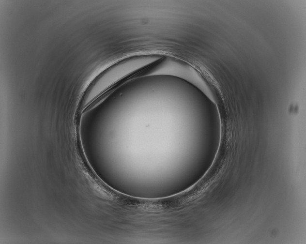 X0000090600789200707311200