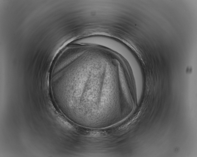 X0000090600790200707311200