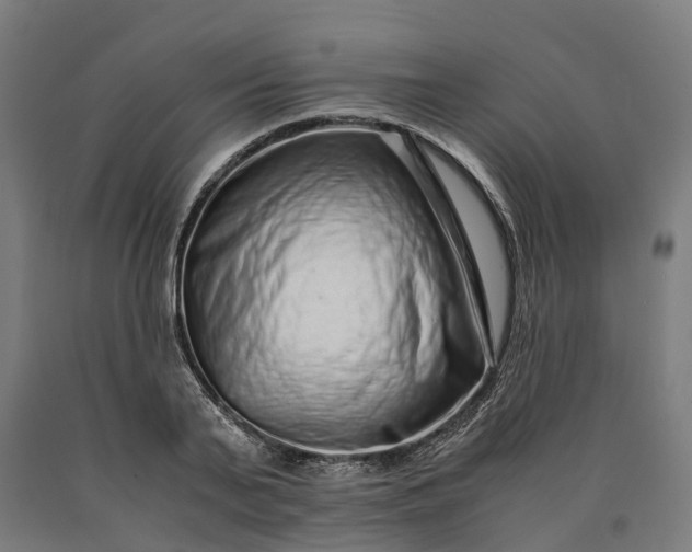 X0000090600791200707311200