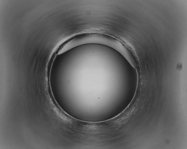 X0000090600792200707311200