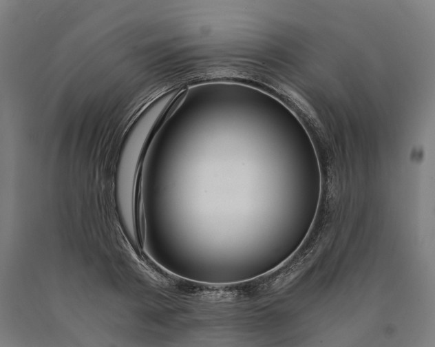 X0000090600793200707311200