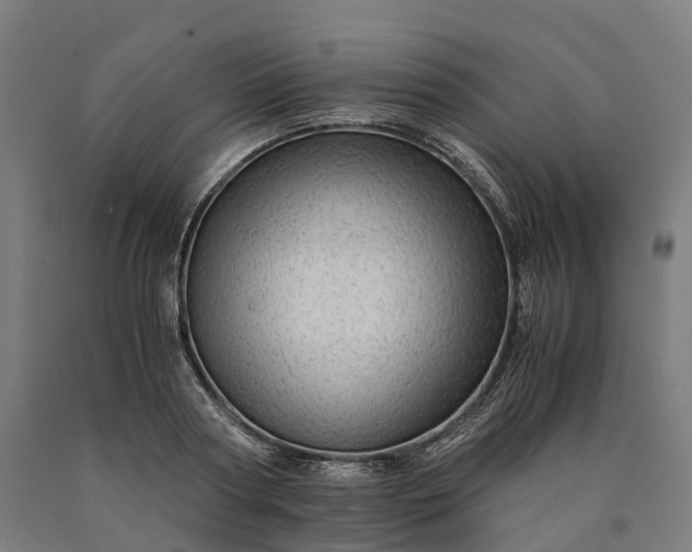 X0000090600794200707311200