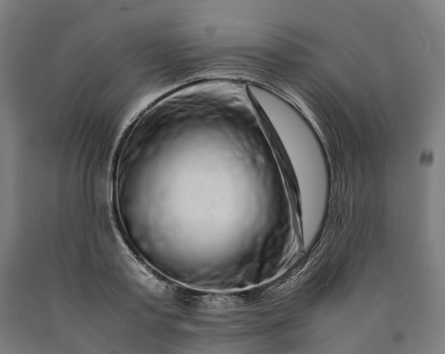 X0000090600795200707311200